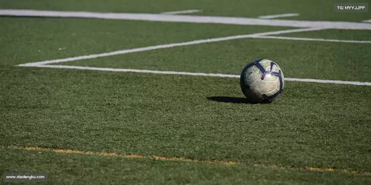 122cc太阳成集团入口团队协作的默契，比得分更耀眼！🤼